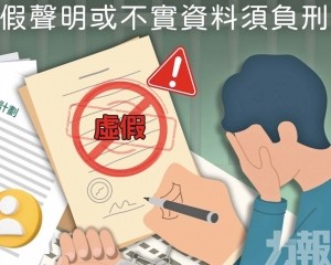 提供虛假聲明須負刑責