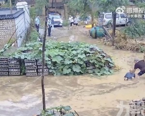 河南周口民警被免職處分