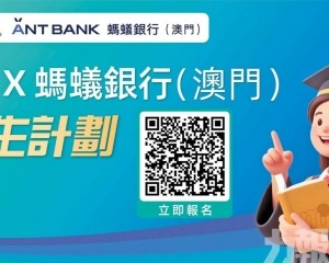 供金融科技及數字經濟十職缺