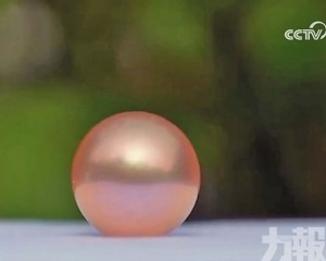 直播主偷塞珍珠誤導觀眾競價