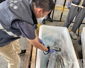 本澳維持禁止進口