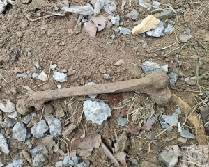 開發商拒退換房引關注