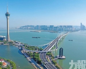 打造更高水平對外開放平台