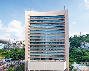 支持立法會選管會依法作出的決定