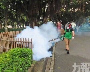 當局籲市民加強防蚊措施