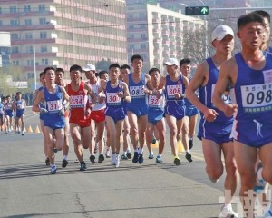 中國高麗旅行社提供五折優惠