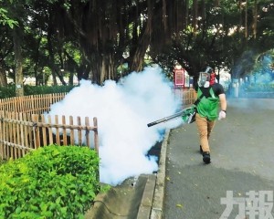 衛生局籲全民共築蚊疫「防控網」