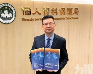 提升人工智能安全及數據安全
