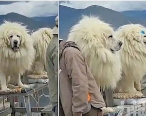 西藏景區被指詐騙旅客