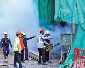 暫無大規模檢測計劃