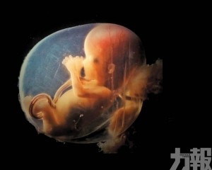 創下「最年長」嬰兒紀錄