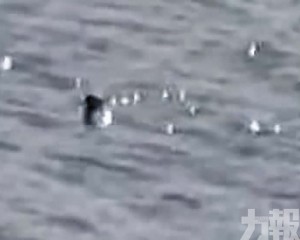 遊客拍下黑影浮沉影片