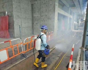 防範基孔肯雅熱傳播風險