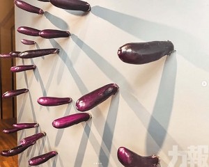 部分茄子遭民眾拔走