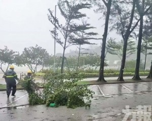 今年或有五至八個熱帶氣旋襲澳
