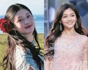 刪光抖音影片嗆：腦殘太多
