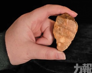 或揭「哈比人」起源新線索