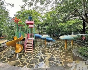 多人合力施救仍溺斃母親懷中