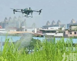 專家警告蚊子已現抗藥性