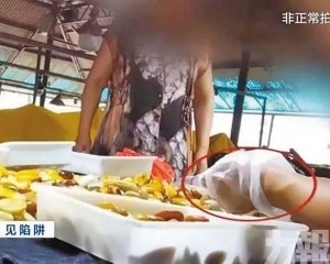 假證書兩元可掃碼驗真 四人被控制
