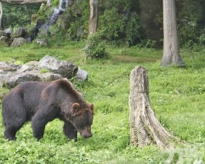 獵人曝高風險低報酬「油錢都不夠」
