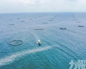 全產業鏈政策支持受關注