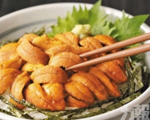 北海道馬糞海膽蓋飯飆至1.8萬日圓