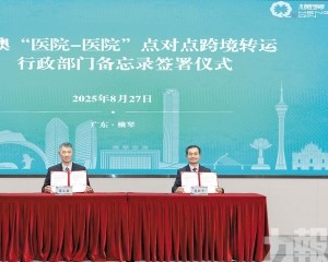促大灣區醫療資源協同與互補