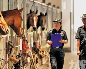 粵港跨境賽馬實現無感查驗