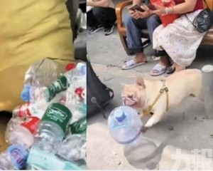 月入1,300 存款破萬