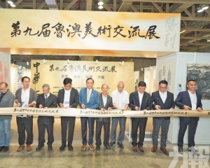 兩大板塊合共展出逾百件作品