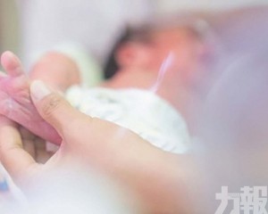 領廣東育兒補貼更容易