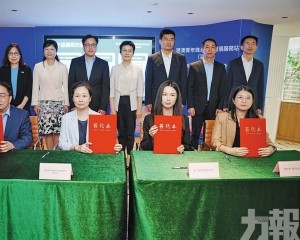 首辦對接會為灣區青年創業注入新動能