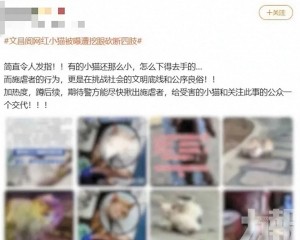 貴陽男子認造謠遭行政處罰