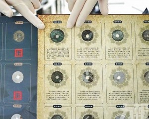 鑑定確認55件禁限出境