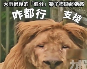 從乖巧齊瀏海變不羈「二八分」