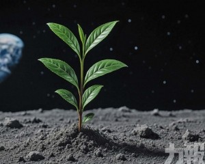 科學家下一步研發「太空水稻」