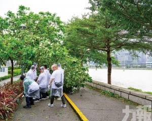 逾千公僕及志願者參與社區善後工作