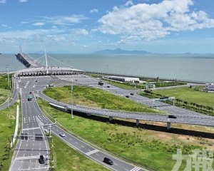 大橋口岸年內車流突破500萬輛次