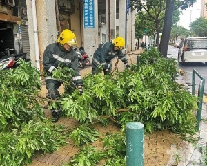 市容迅速復常展現城市韌性