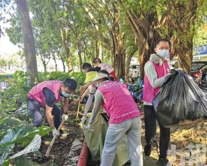 嚴防登革熱基孔肯雅熱傳播