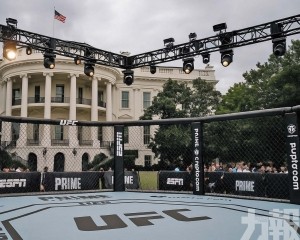 白宮草坪將舉辦UFC格鬥賽