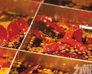 浙江600多名長者被騙4,200萬