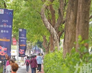 廣東釋出首個內容創作者扶持政策包 廣東釋出首個內容創作者扶持政策包
