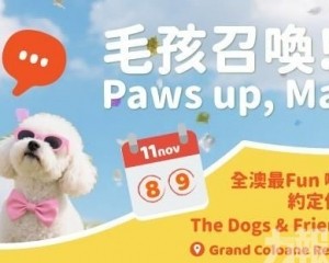澳門「Friends Fest寵友日」11月於鷺環海天度假酒店登場! 澳門「Friends Fest寵友日」11月於鷺環海天度假酒店登場!