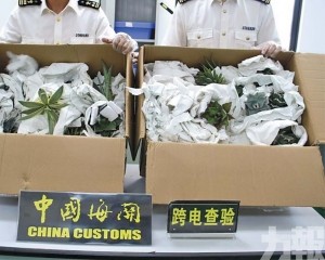 部分屬國際公約保護物種 部分屬國際公約保護物種