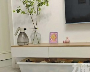 播放破千萬商家訂單暴增六倍 播放破千萬商家訂單暴增六倍