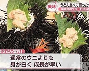 變廚餘為飼料助改善海洋生態 變廚餘為飼料助改善海洋生態