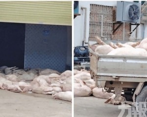 當局拘七人 嚴防流入市場