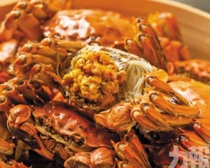 延熟反令蟹膏更飽滿 延熟反令蟹膏更飽滿